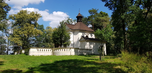20220810_123417.jpg