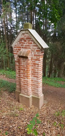 20220810_124200.jpg