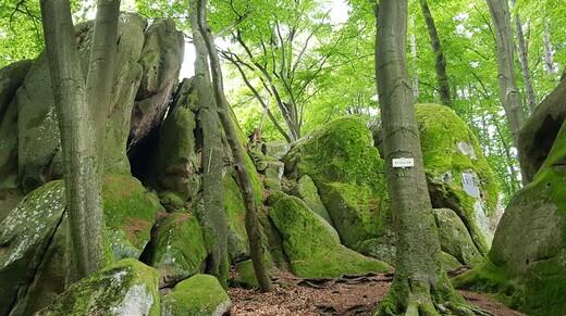 20240526 - 10.jpg