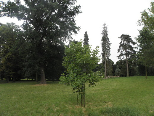 P6240344.JPG